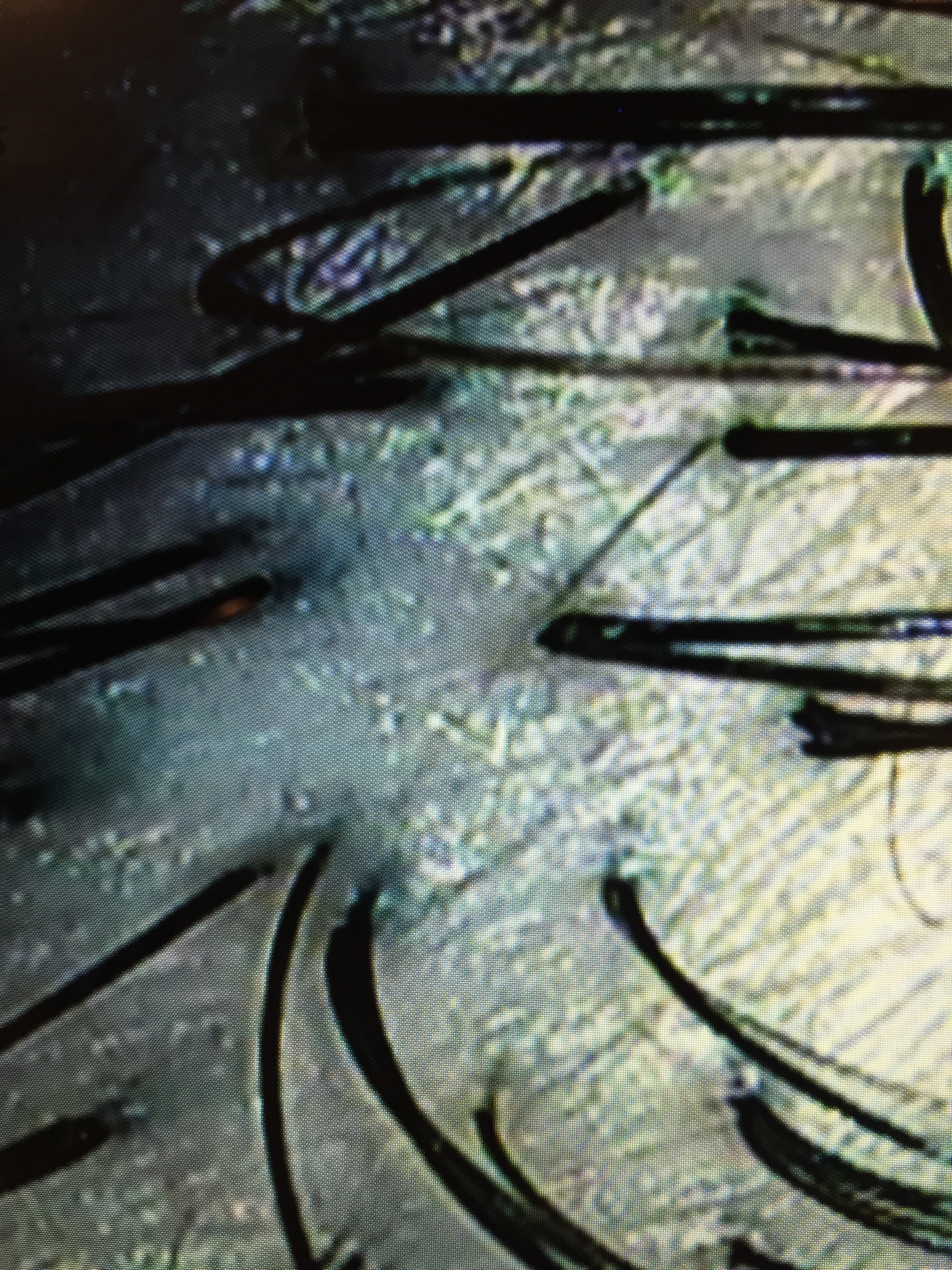 髪の基礎知識について②