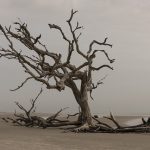 頭皮トラブルを防ぐには？